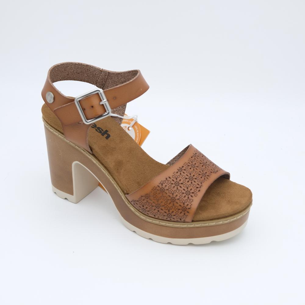 Camel 36 - Main Image