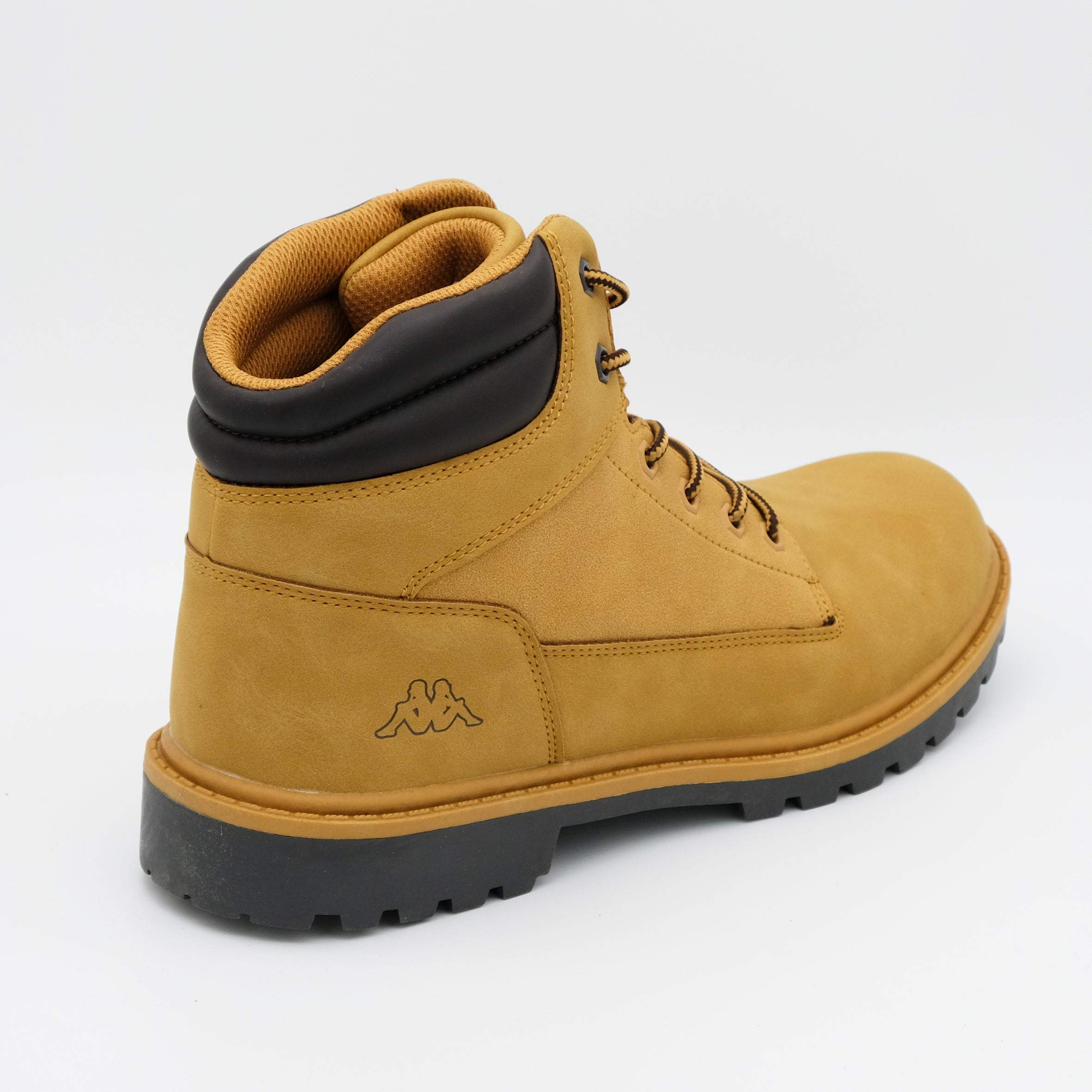 00513_31_2|1a5687438ce4dd7beb3fa63b2c1847a3