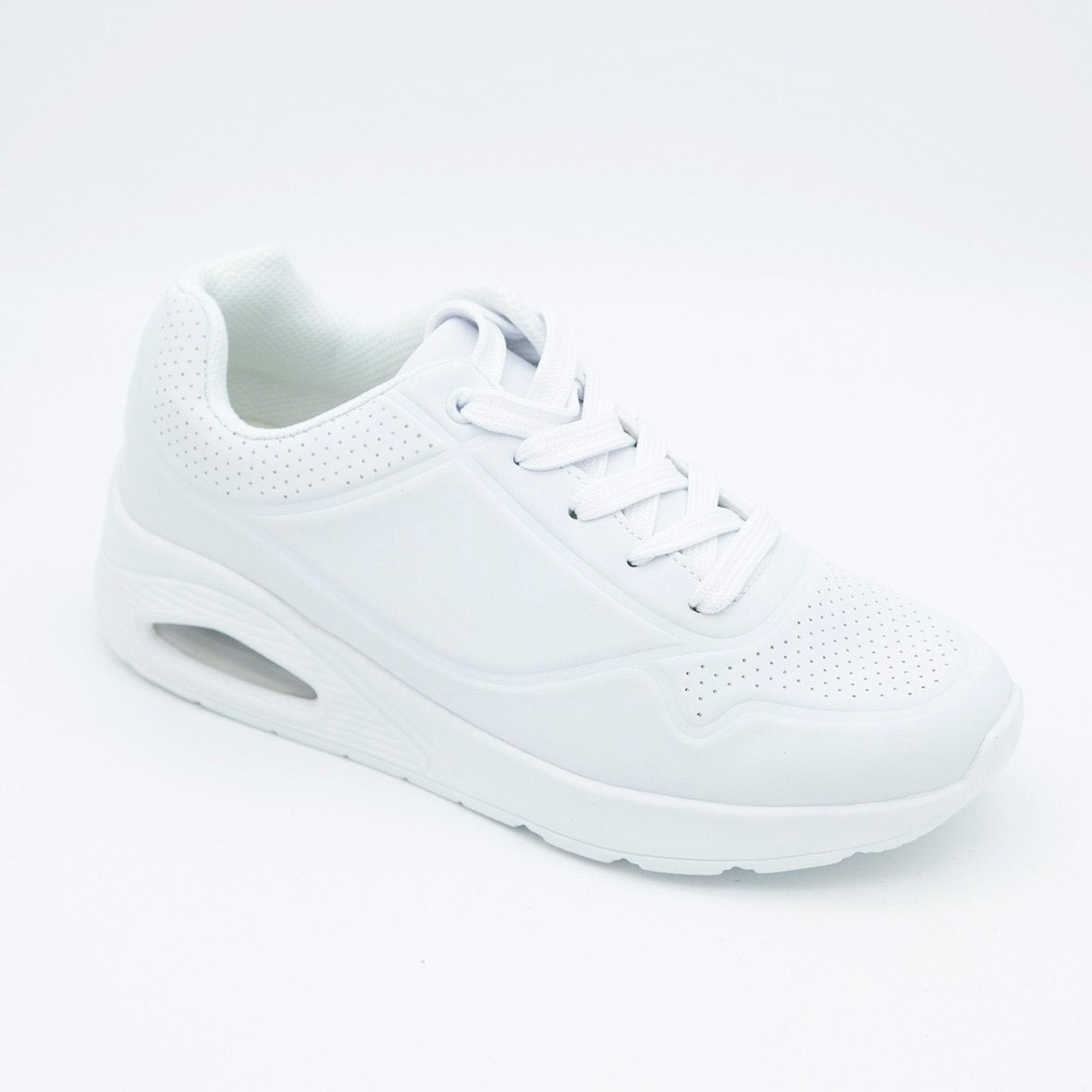 00590_8|03c6618c6168ae48b732ddc9fa59f4a1