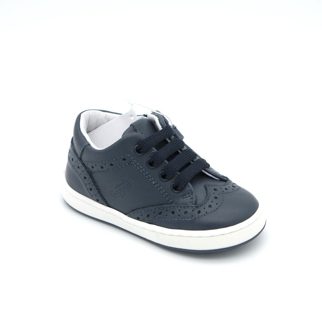 00646_2|1268347537c0e05718ff01f0f512d4e5