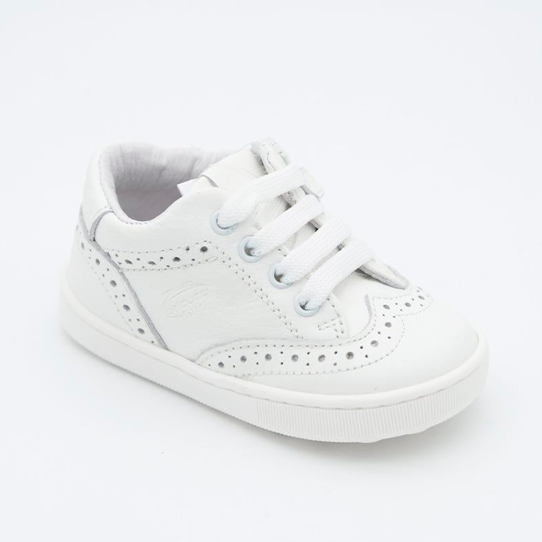 00646_8|345b032b9959c5dd80644eec162dc790