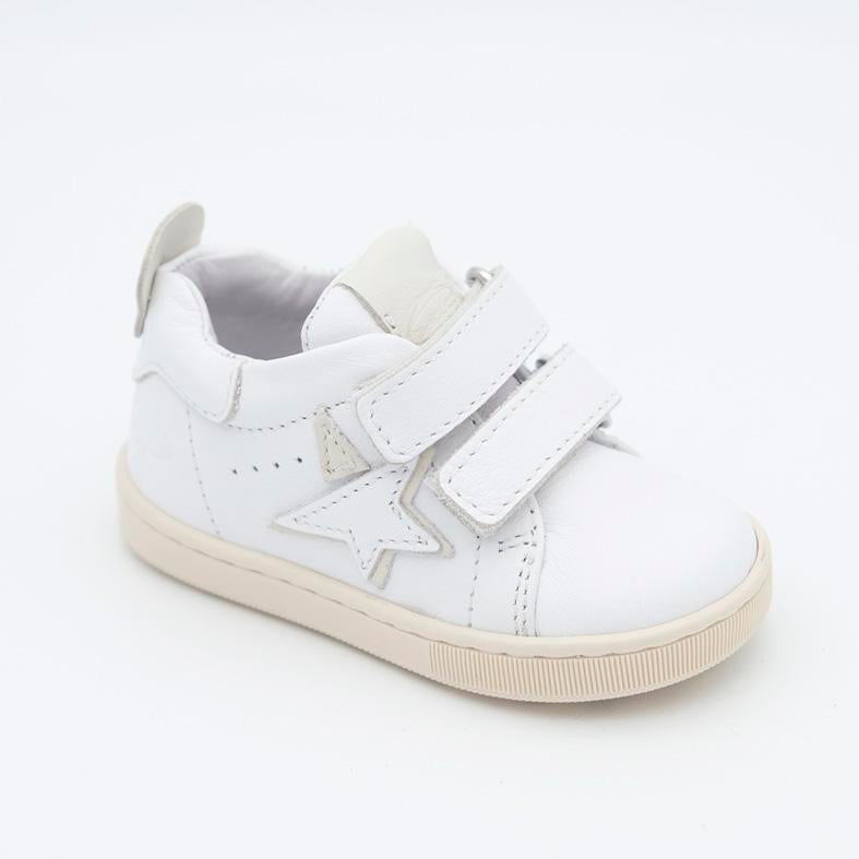 00648_8|fb56014658973858f90a6c302b92629d