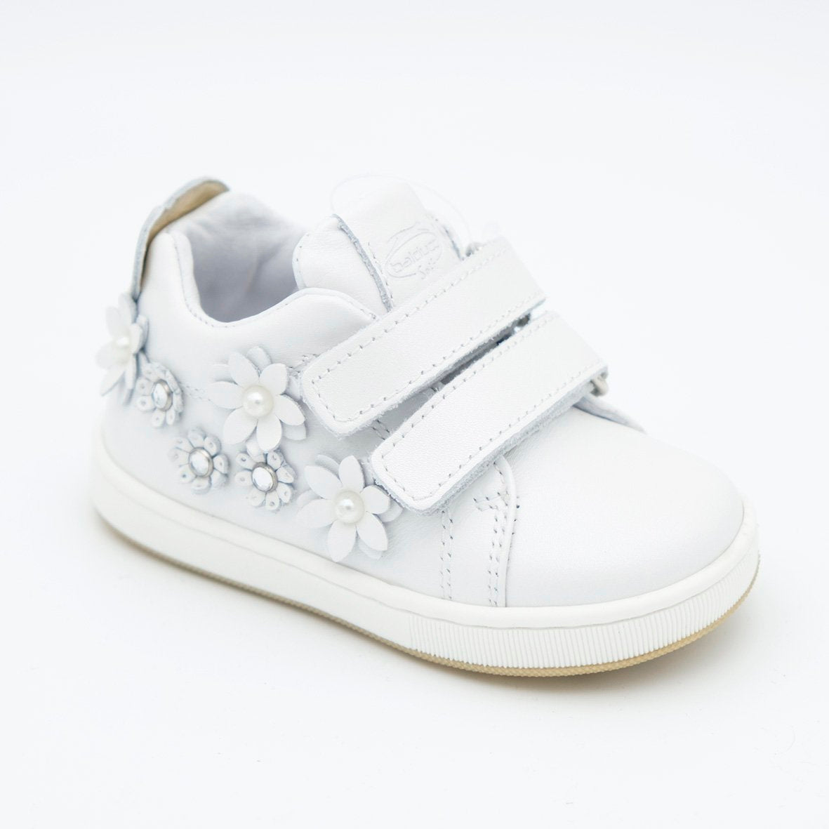 00681_8|d7f8ecdaa7006e33347e5dc27285b9a5