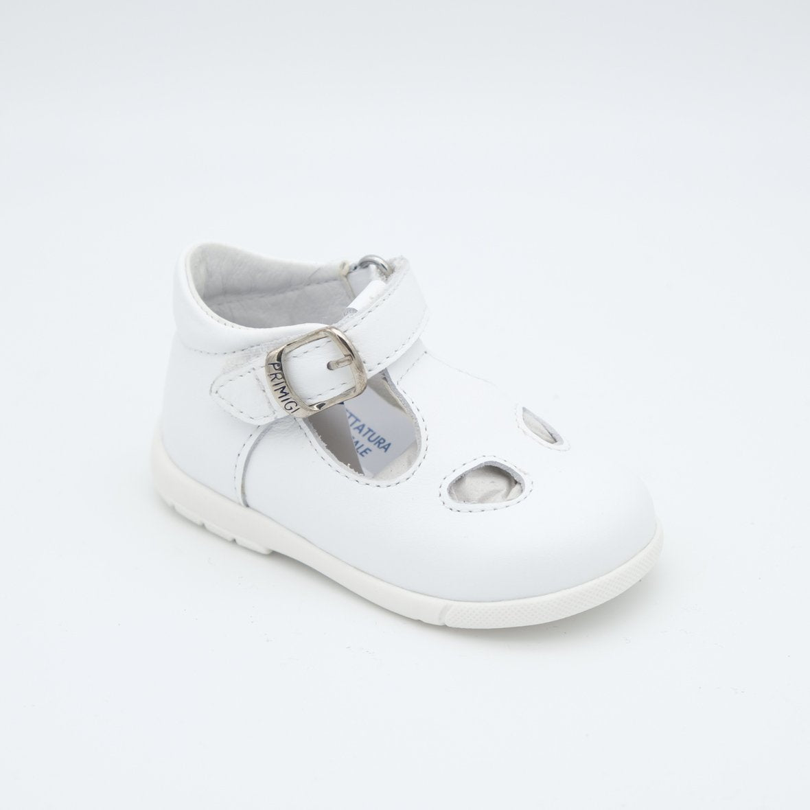 00772_8|464a03706f479d4150b787100b434d1d