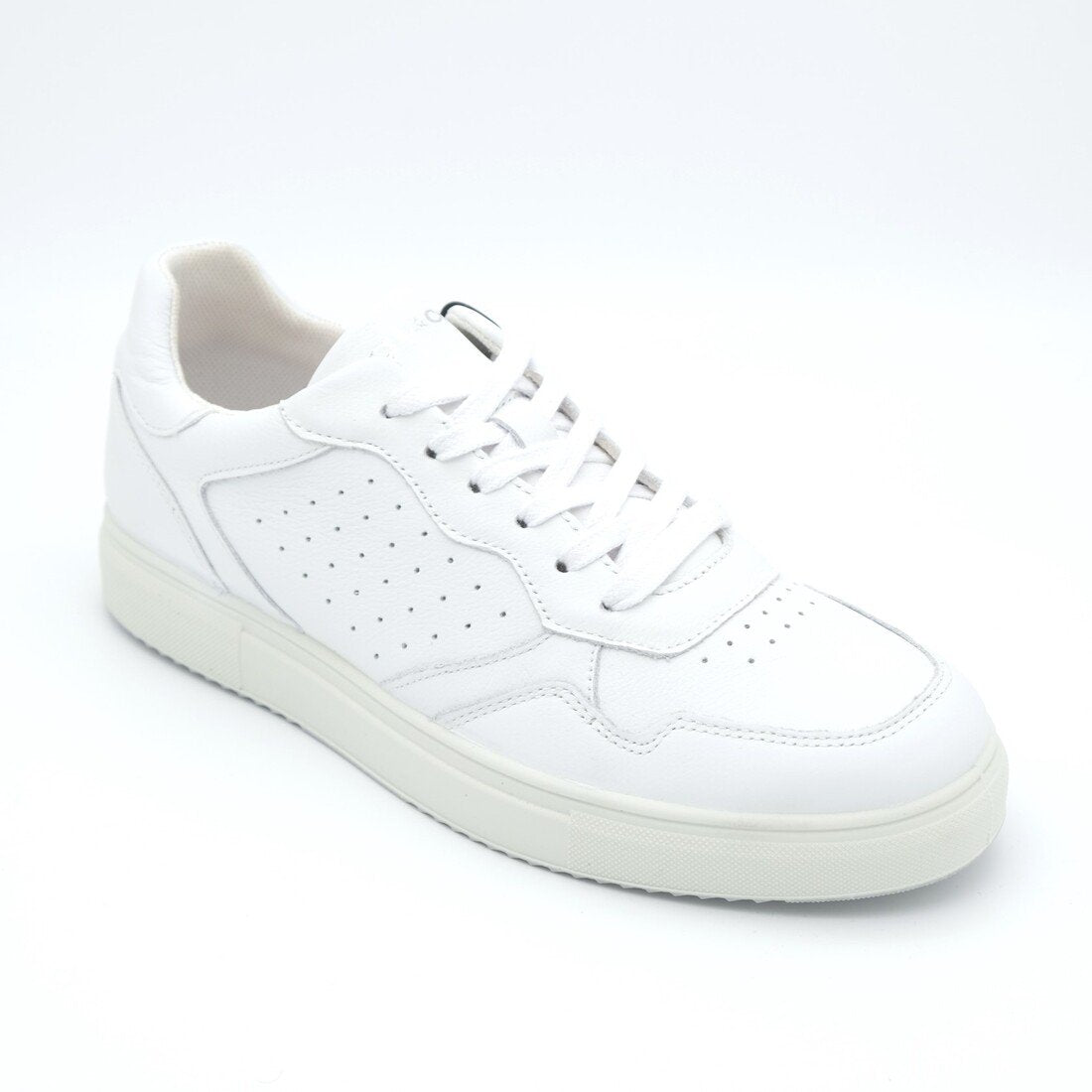 00856_8|f8717b13d64fbbdc65996fb699b109ca