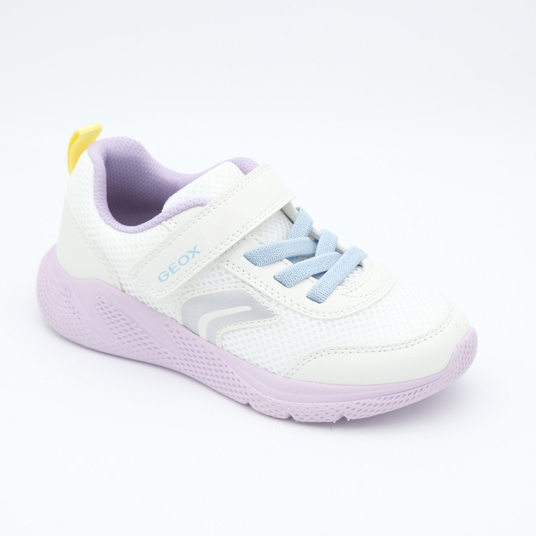 01291_8|e1bfb26a0f1dfda1b1227dd70af0c2ad