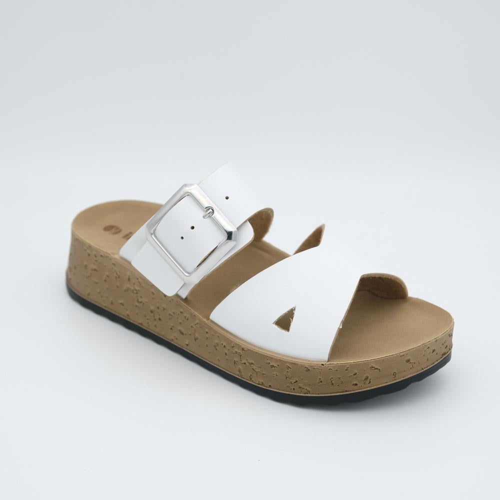 01311_8|ada14a86eeda75a87f41a8bde7541431