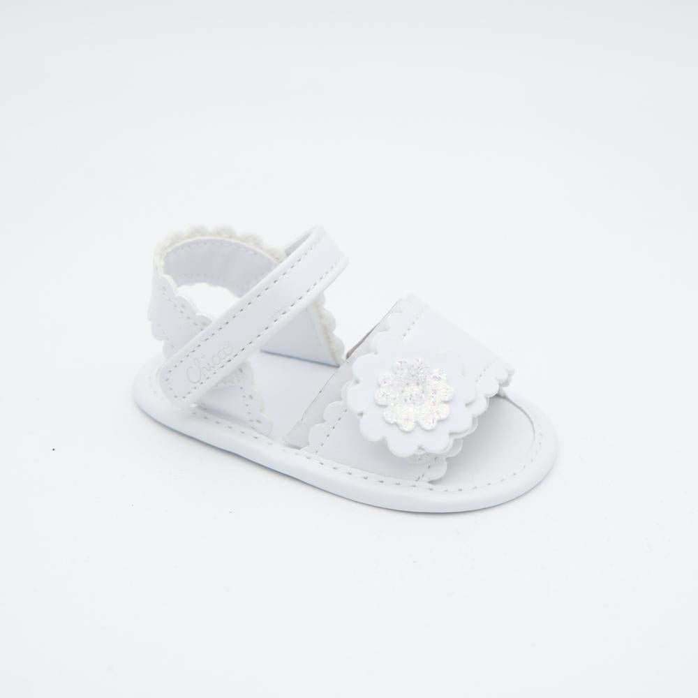 01509_8|ccd24bc1acbb2e19bd54012a782be8c9