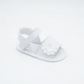 01509_8|ccd24bc1acbb2e19bd54012a782be8c9