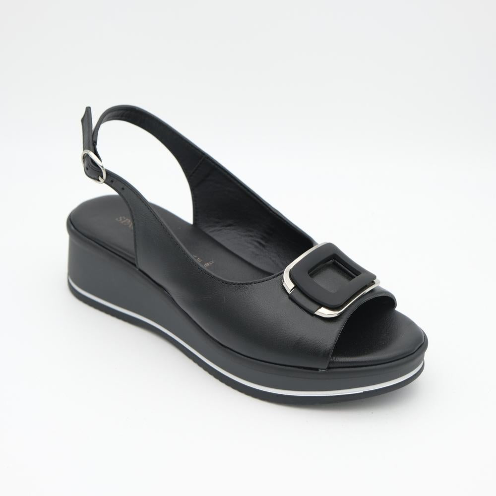 01560_1|1fcdb1ab906a7e174aaa6fc199ebe7b0