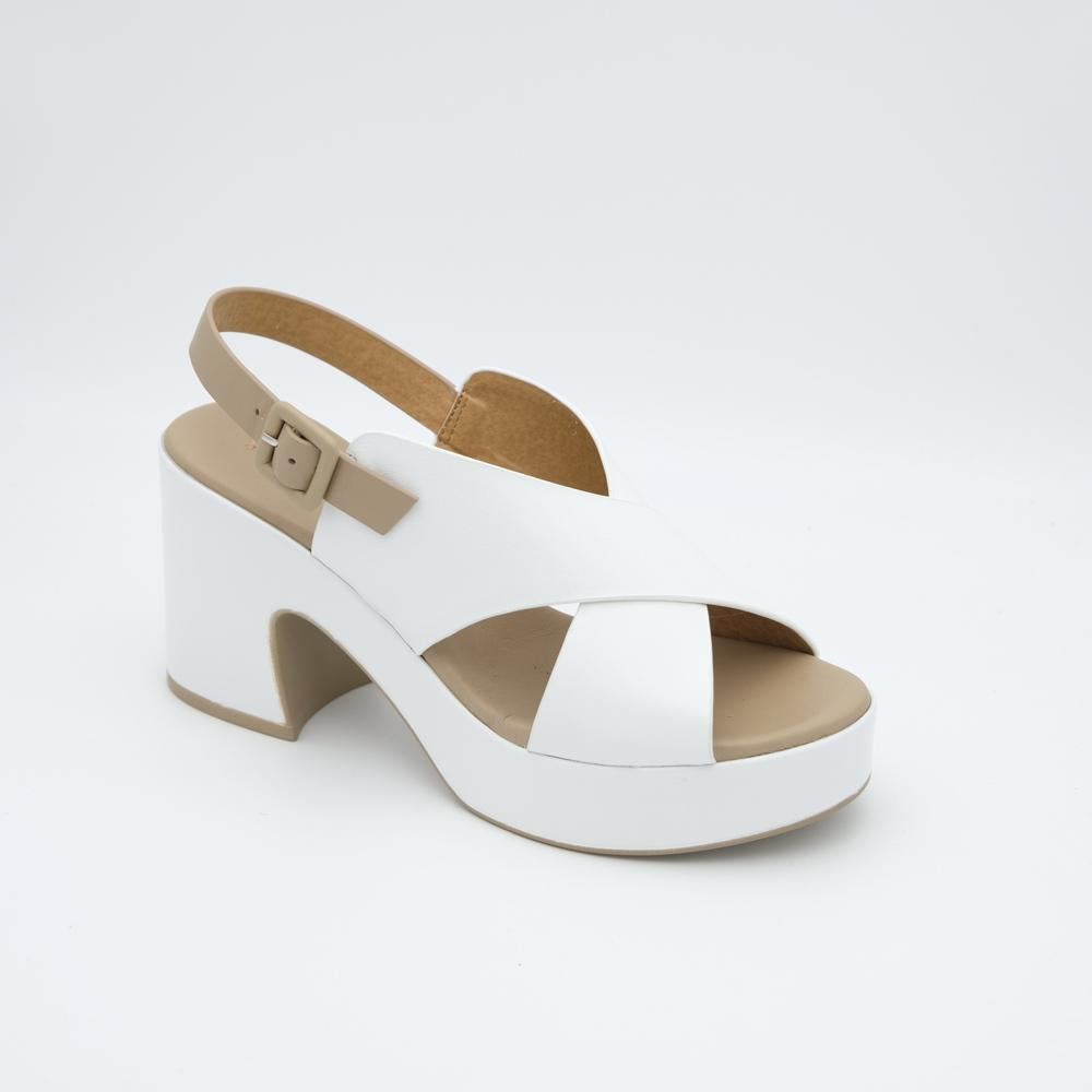 01565_53|81726bbb71f74a01a601d76157cb5b8c