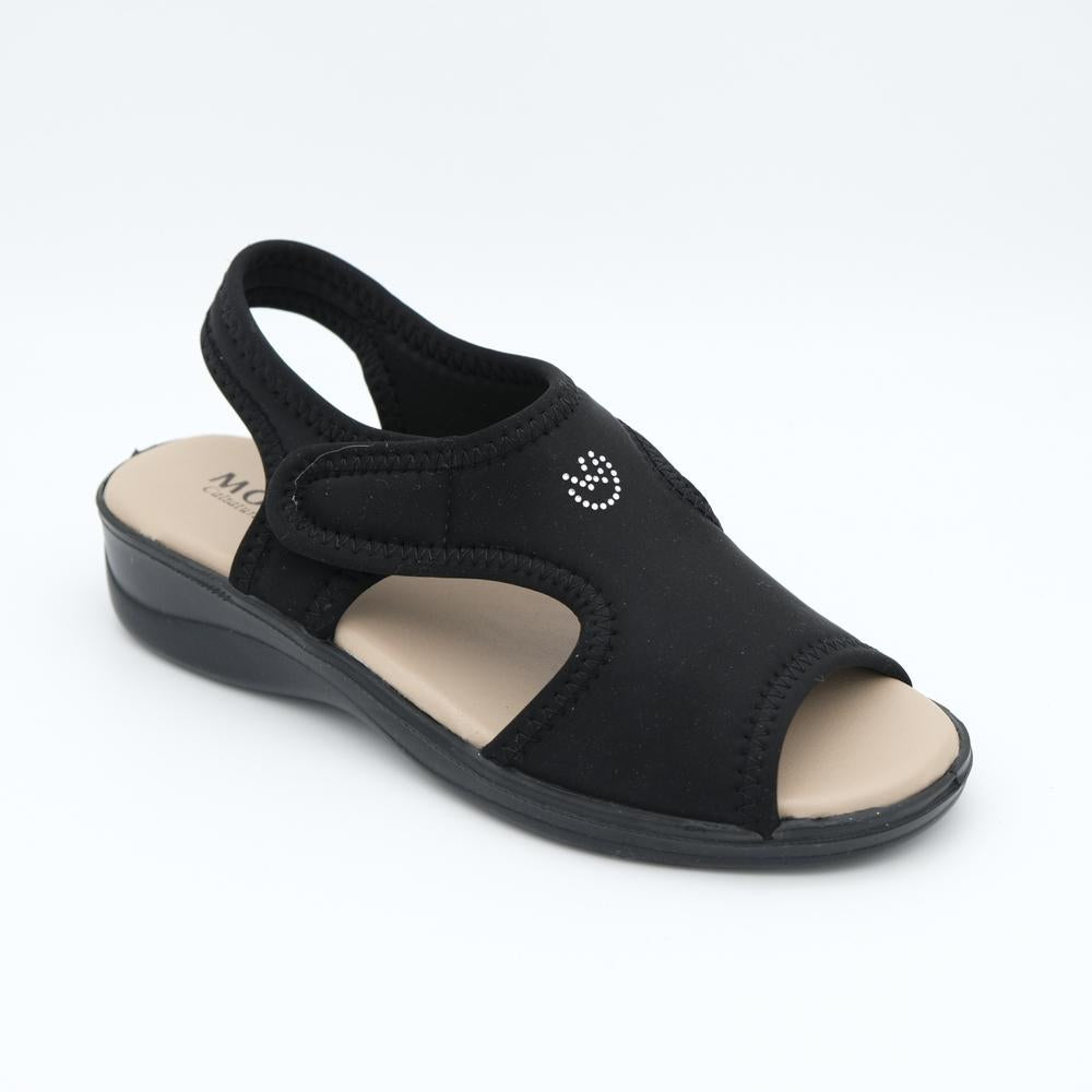 01587_1|695a115781df2b0dad88d9e4c704c58c