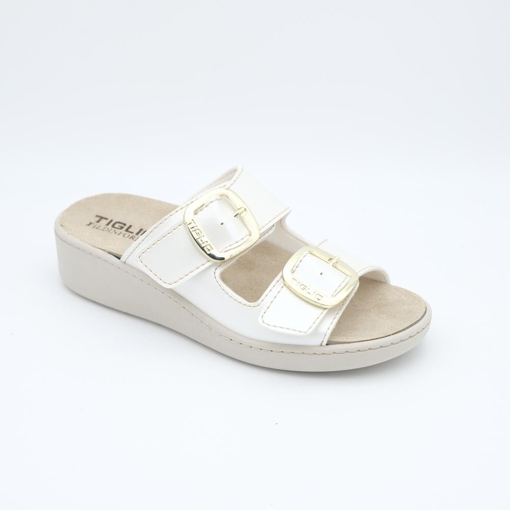 01616_8|f64ff3b1cd1692939363bdced8a2bd29