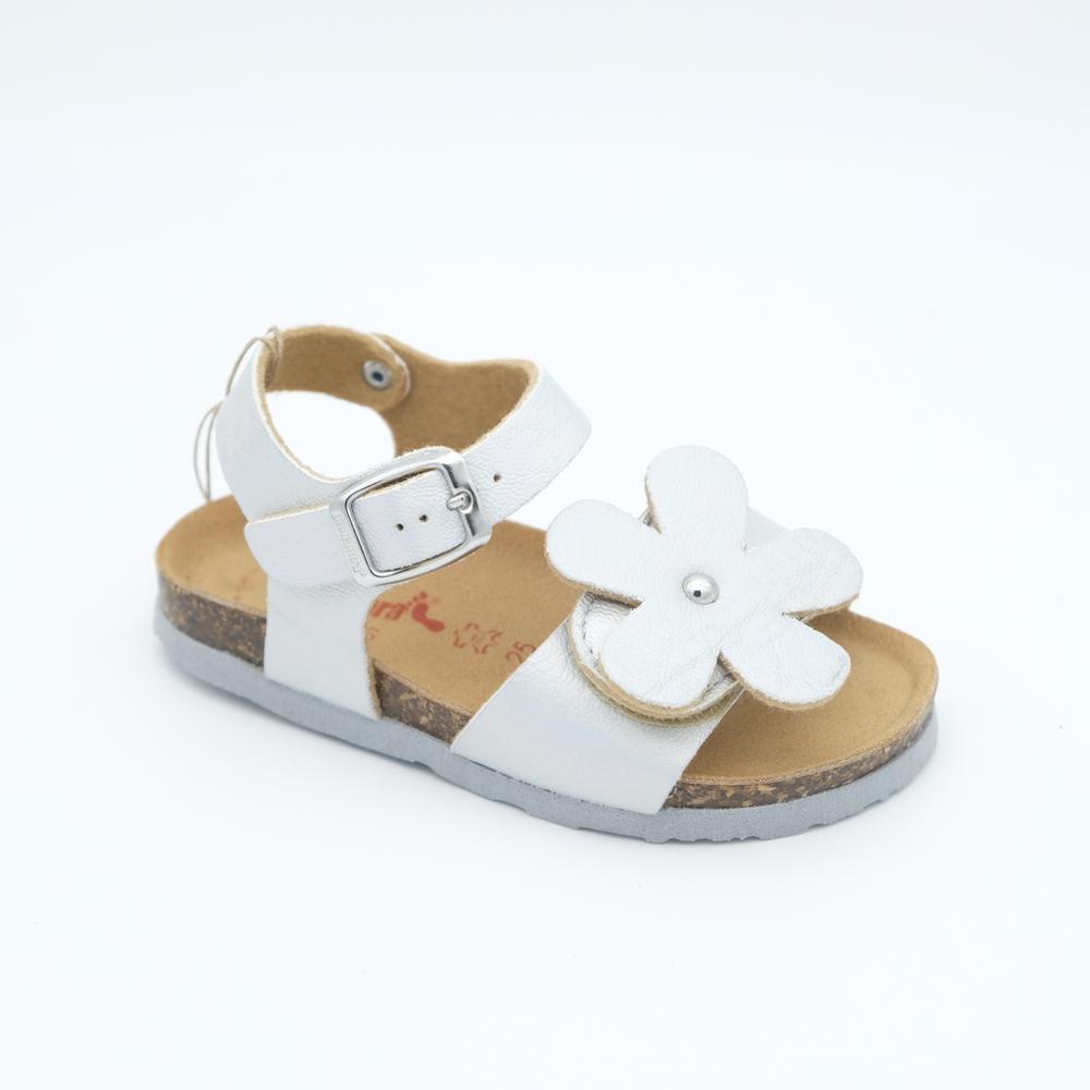 01645_7|383c558b96c55a067d1d64fa9c0e19cf