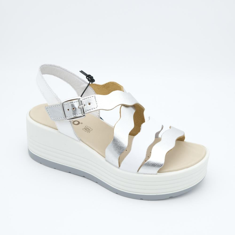 01770_66|e2b55bb0494346fce47cb00b9957e216