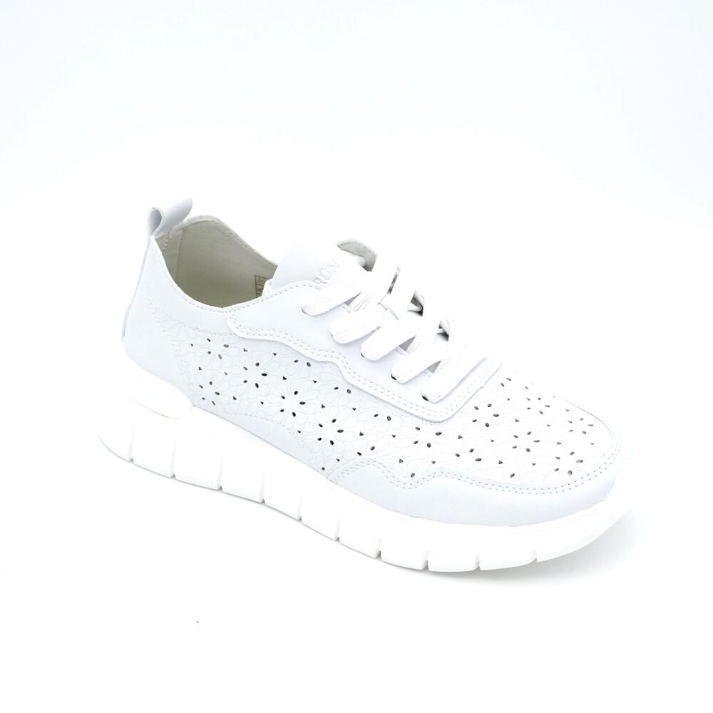 01805_8|e6159aaf5c002d795941f02dea586a03