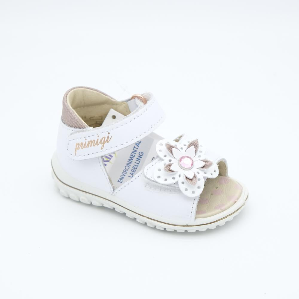 01850_8|07f7e1f83792bd652100b5c245e215e6