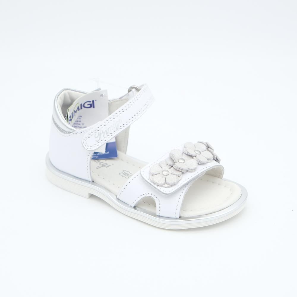 01851_8|a17111869a52d54fafc1f3a69c562e02