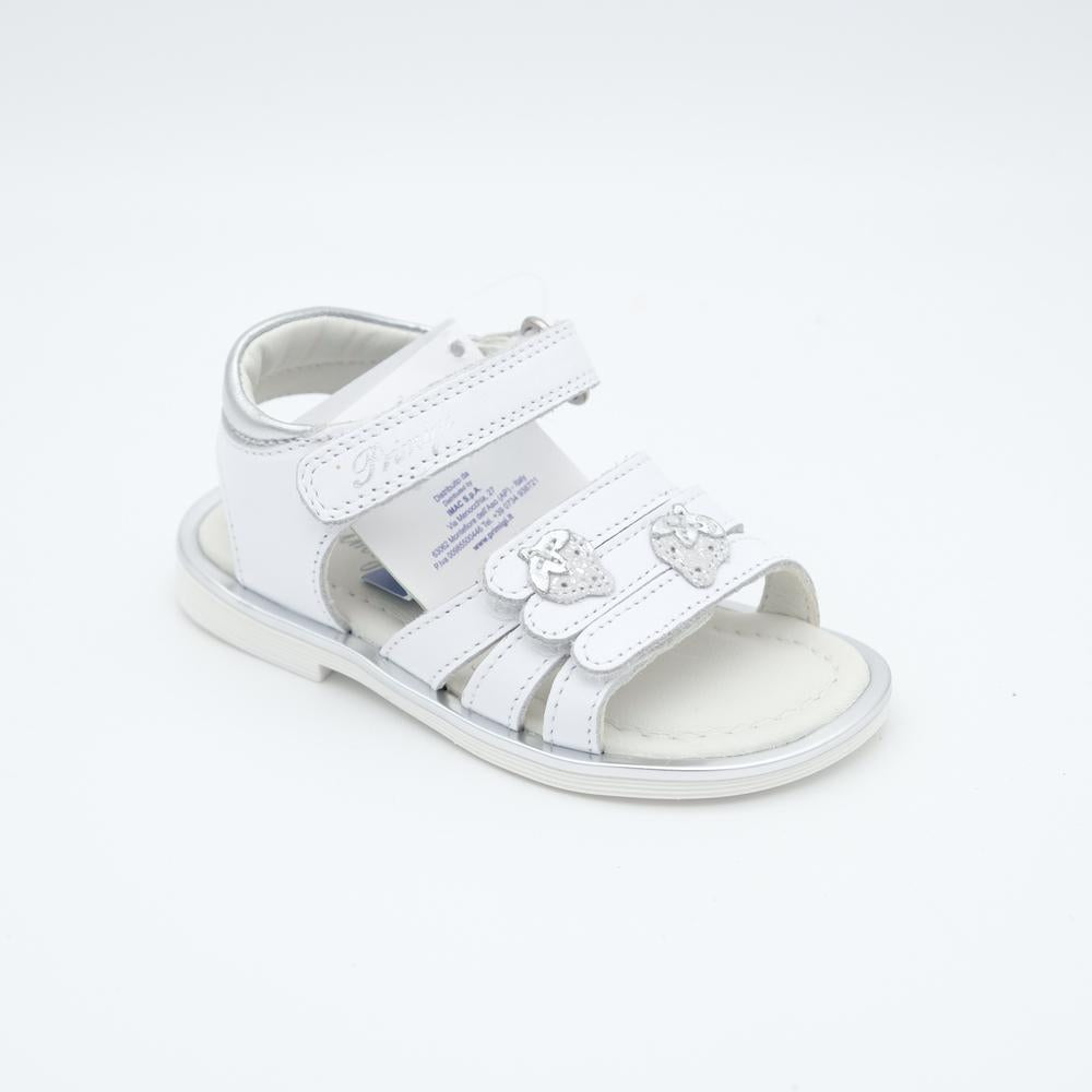 01855_8|519d80245f49a57b2fbc7a3c2aee482a