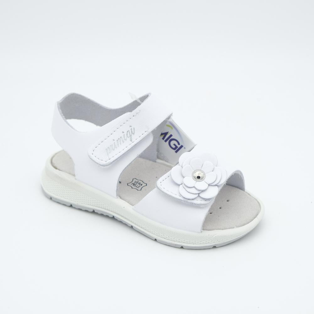 01857_8|298590253de3d45a65b6f3240b3c7552