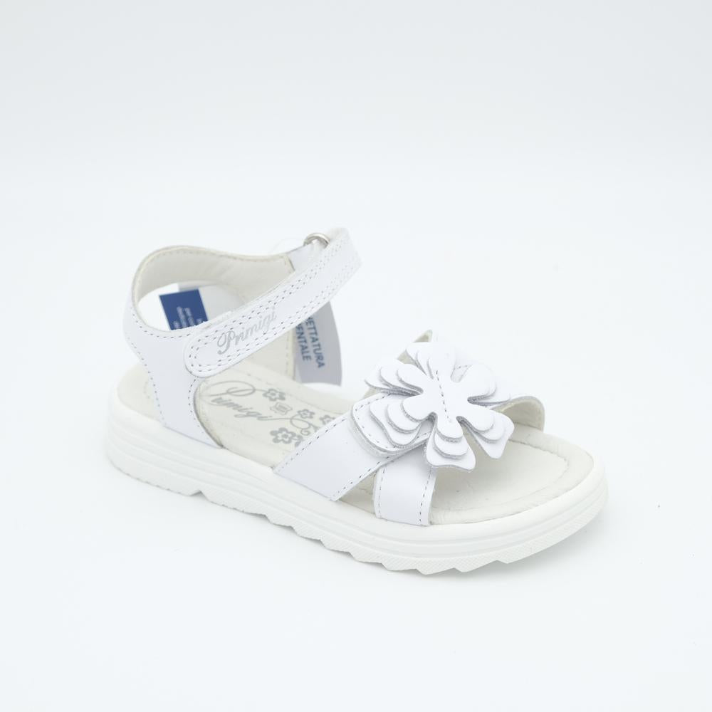 01864_8|cbd0fbd7872896ee856a62924cc1cc11