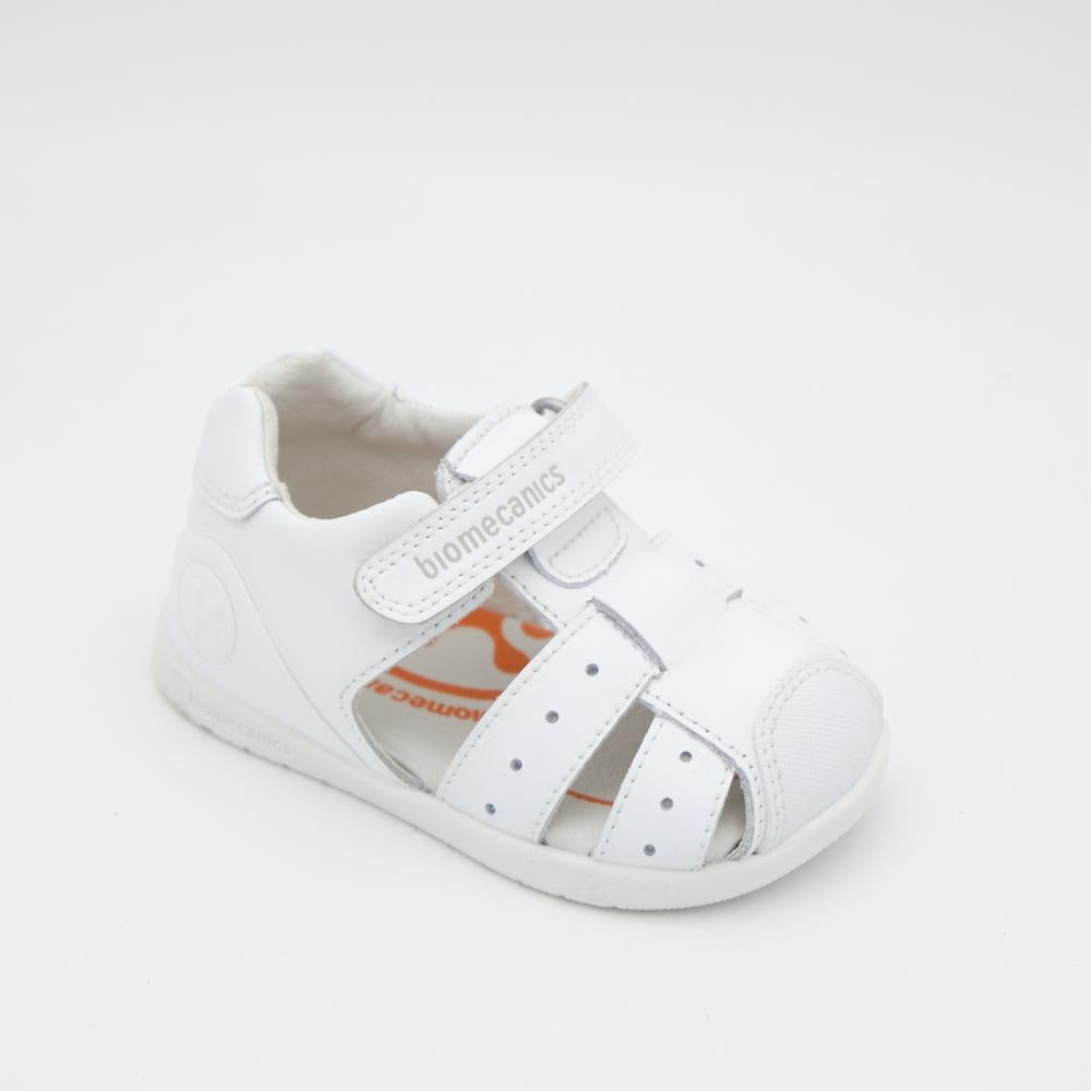 01921_8|b1ca36199092527dfa87aaa605c8d442