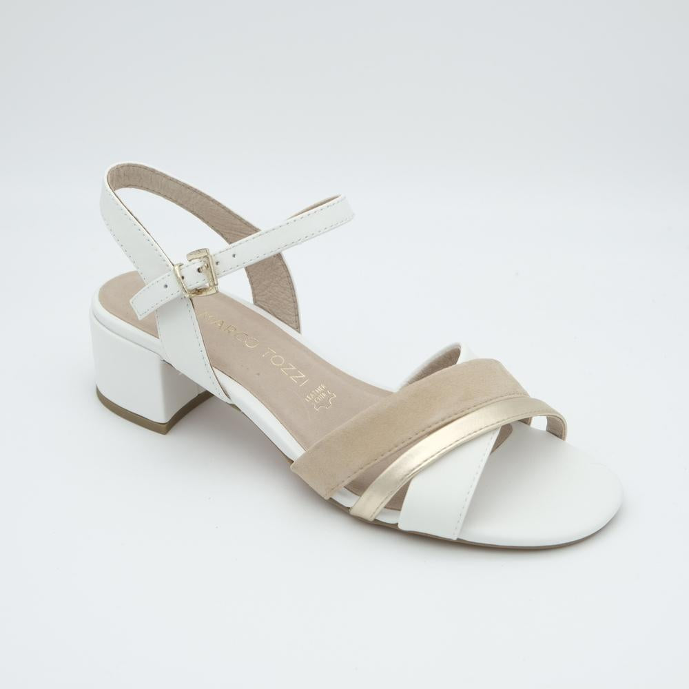 01929_156|7237028c07531d17124fa985acd093a5