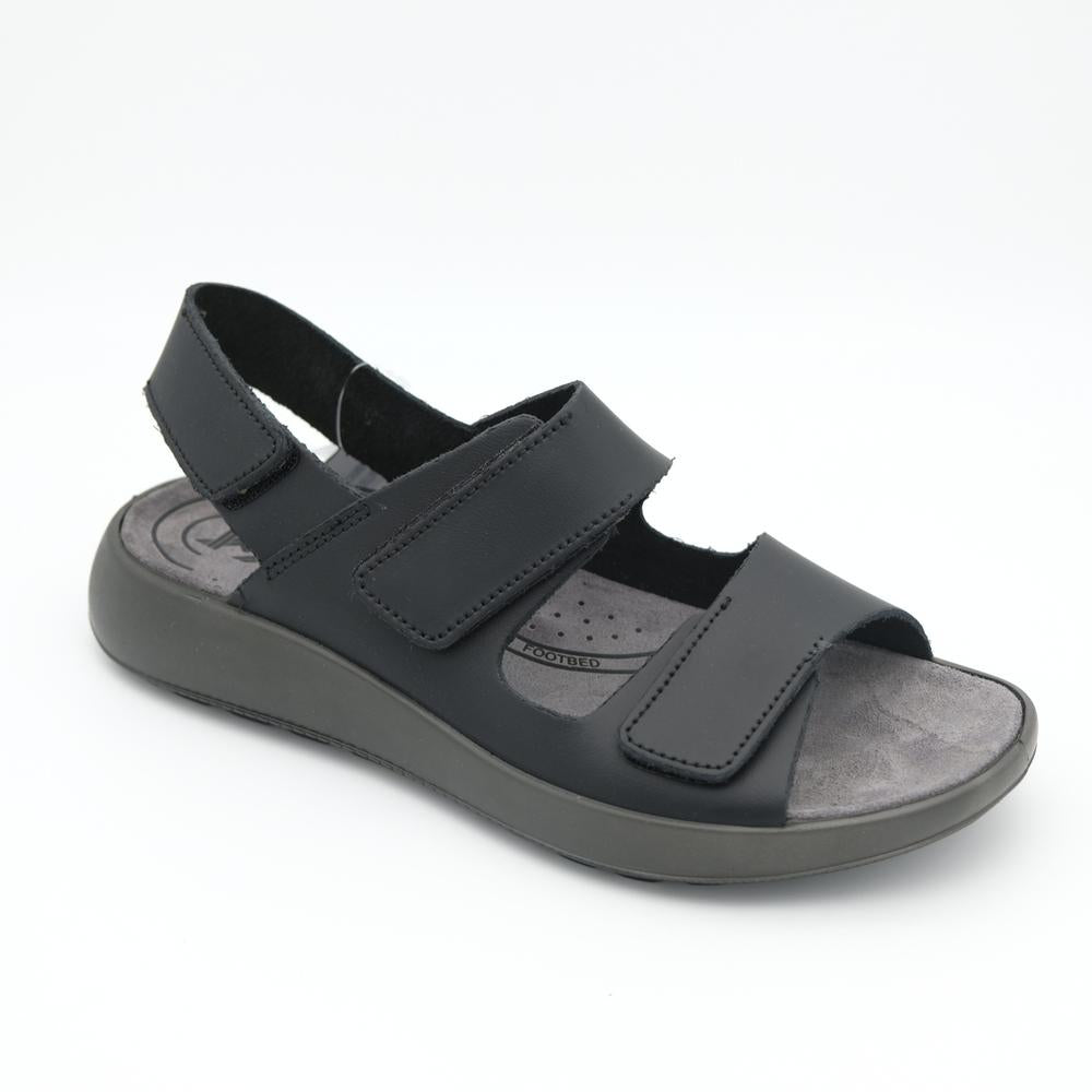 01946_1|8e8b273cc30115342e2ed5a41ae2cc54