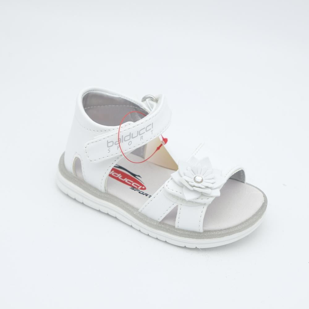 01955_8|91de6d51828879e2eaae35c150dd457c