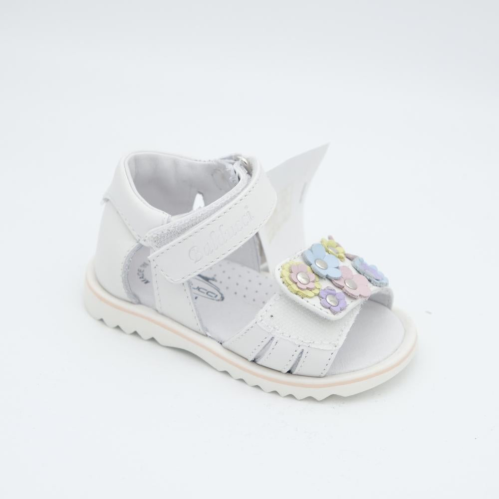 01960_82|23c0f82b32bc83f82c1198572d1281a2