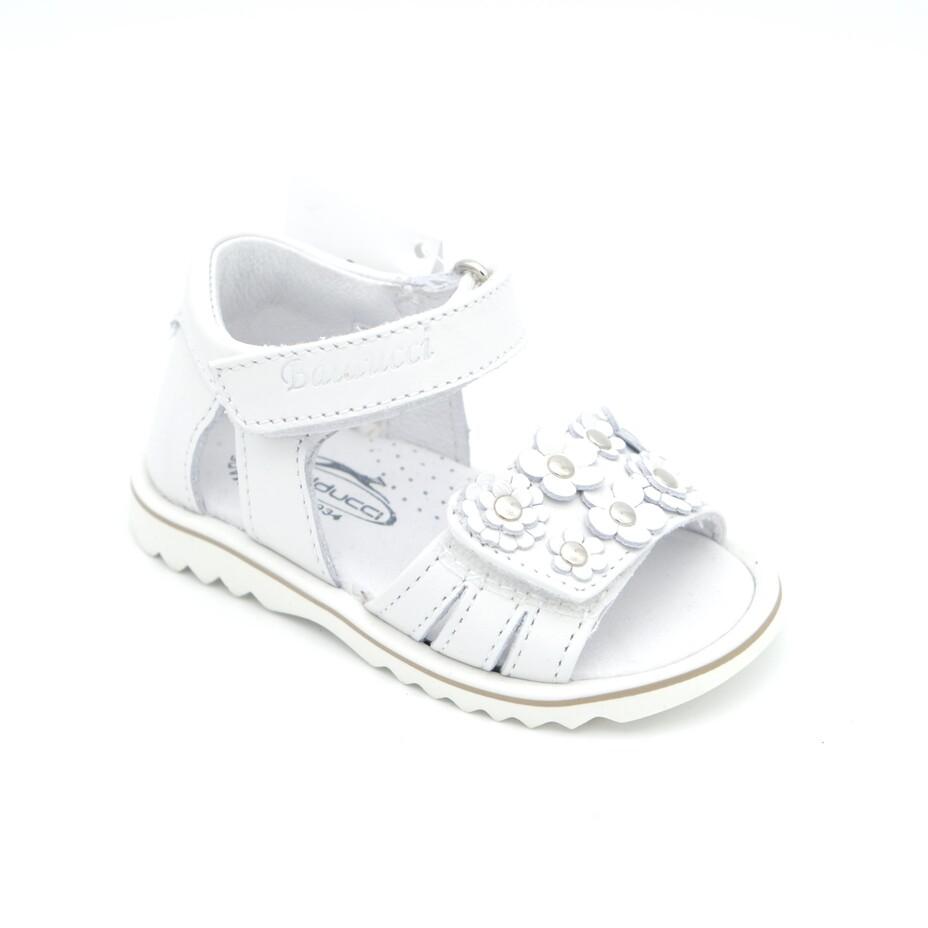 01960_8|64a4cfa4b934a1b40c649689af7e8691