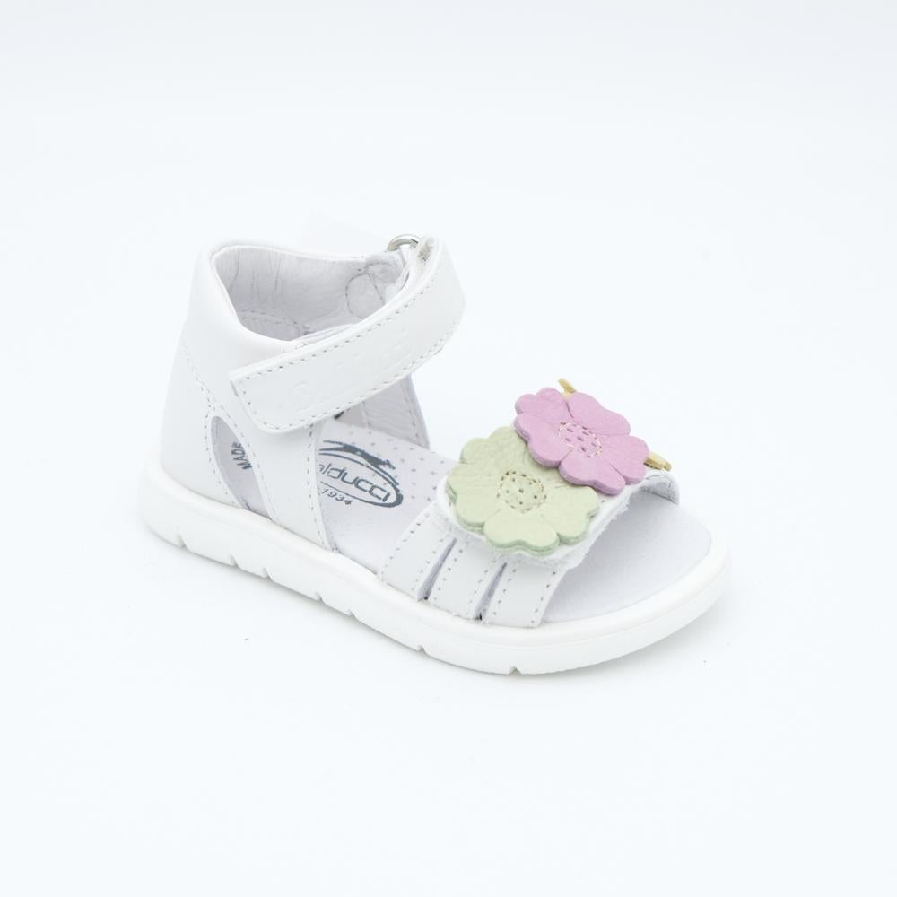 01962_82|697f0ee007b081e6b972b511dc44b99f