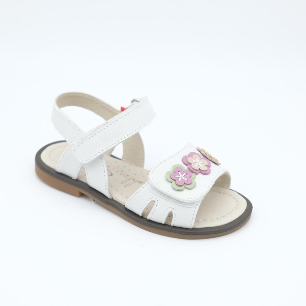 01966_8|8d5e2c0b2b580db8e7875dfdc48da315