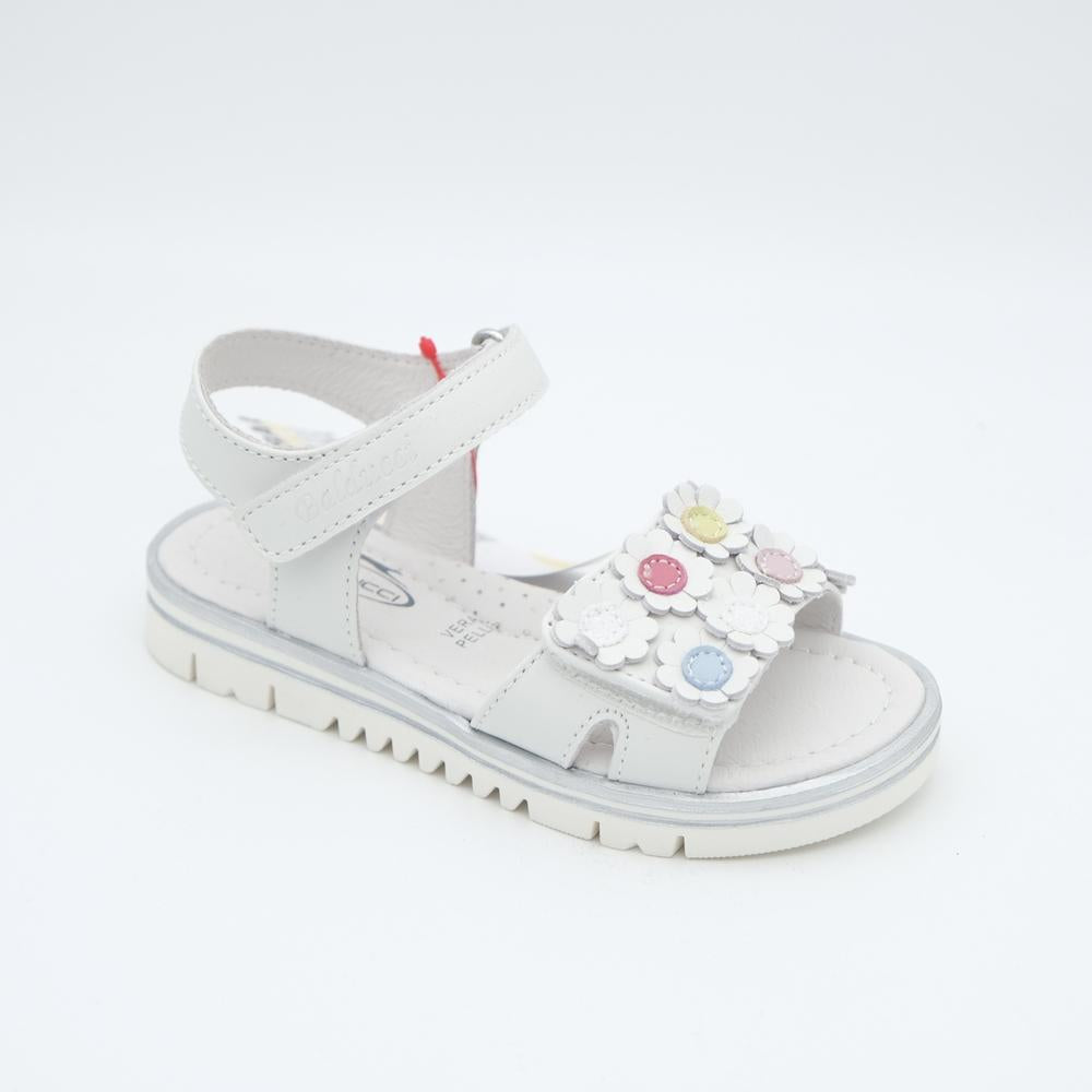 01968_8|5b071960f0776b444f2b2e089cab1ee2