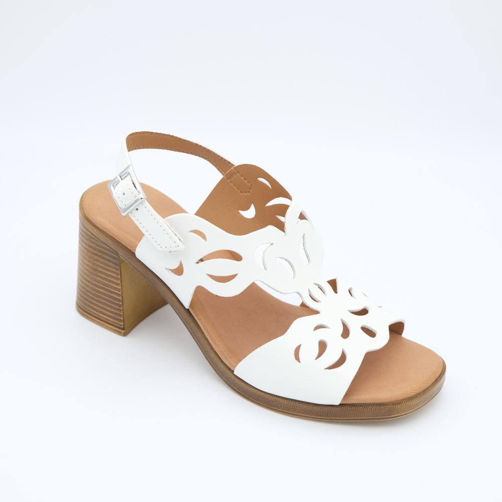 01970_8|c1b07f7188a171da84762f3dcf023647