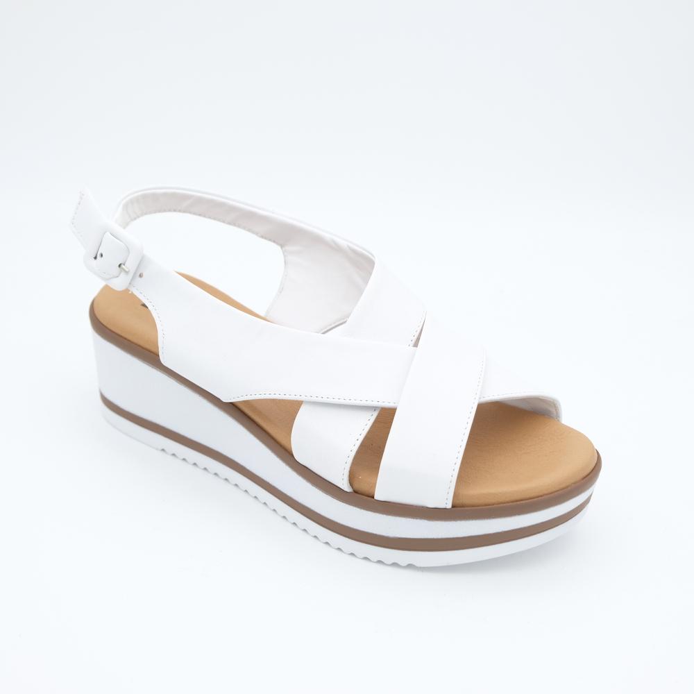 01979_8|d44f89388aeff6f4b21fc279c5d676aa