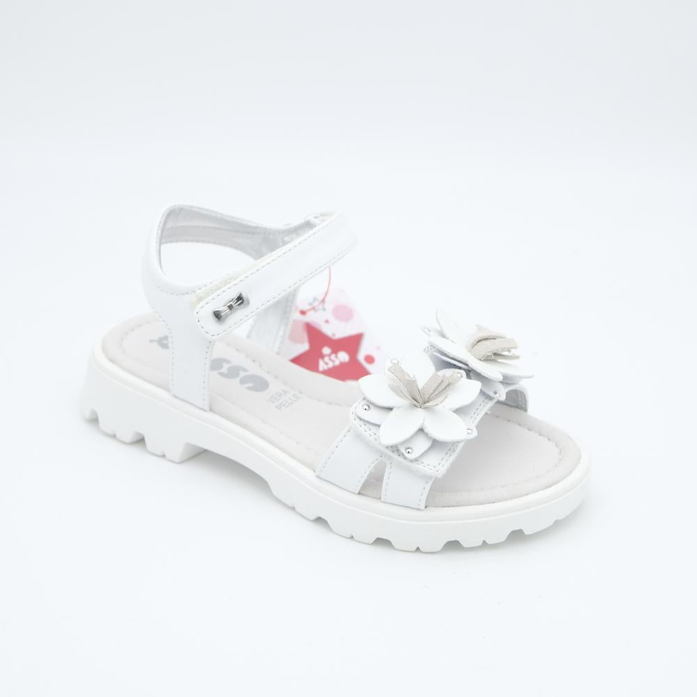 01984_8|5ef6724bed39e5e9445a29b5a2e715e0