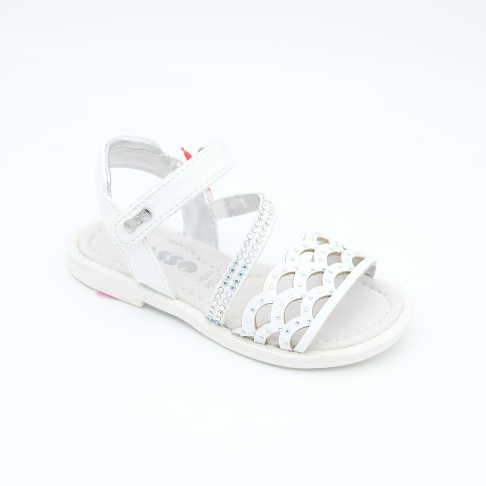 01991_8|b62edbbb8c6b7fa13892b8c4501a64b4