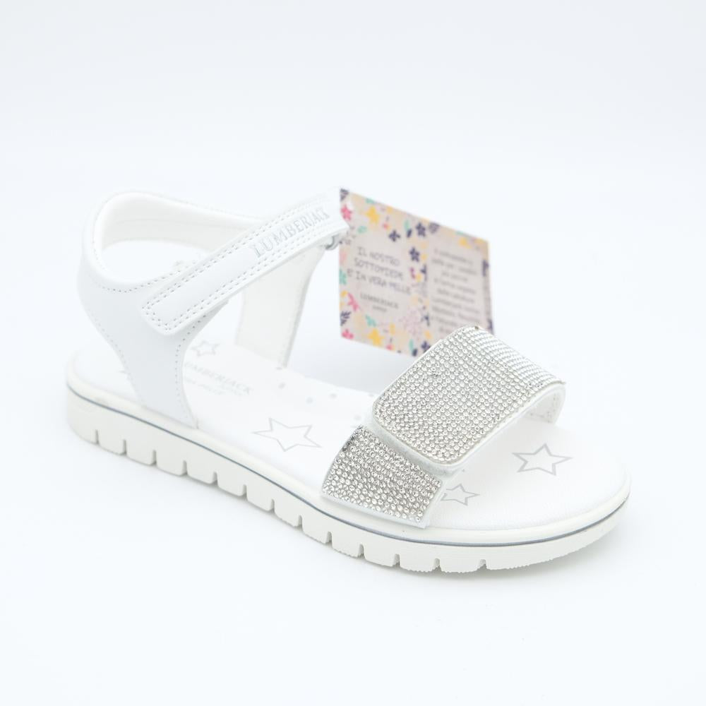 02044_8|e60c5c45dbce260840c77e59884bf277