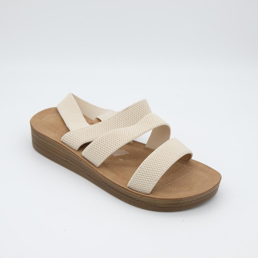 02119_10|73282541a8c86a4bd288ea6979bc6169