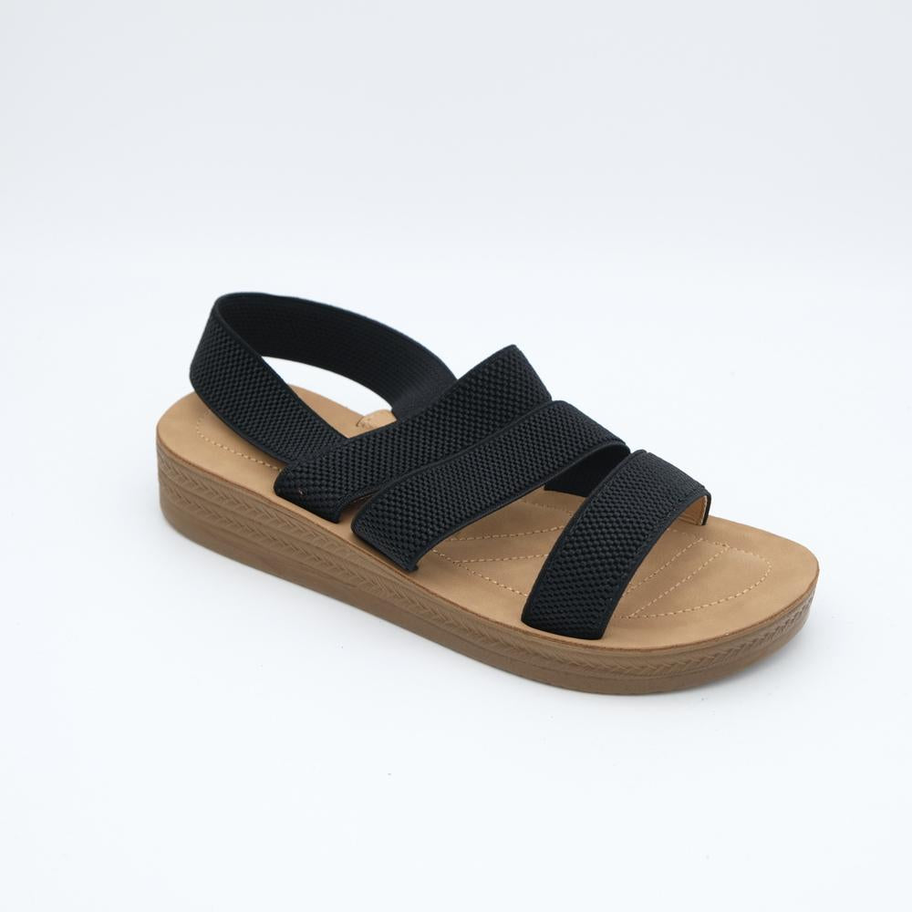 02119_1|b4a2dbc0740cc8e17646cac76e4b4e06