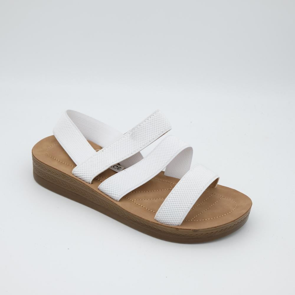 02119_8|c11663815d91f33ac17e743e8373e0a2