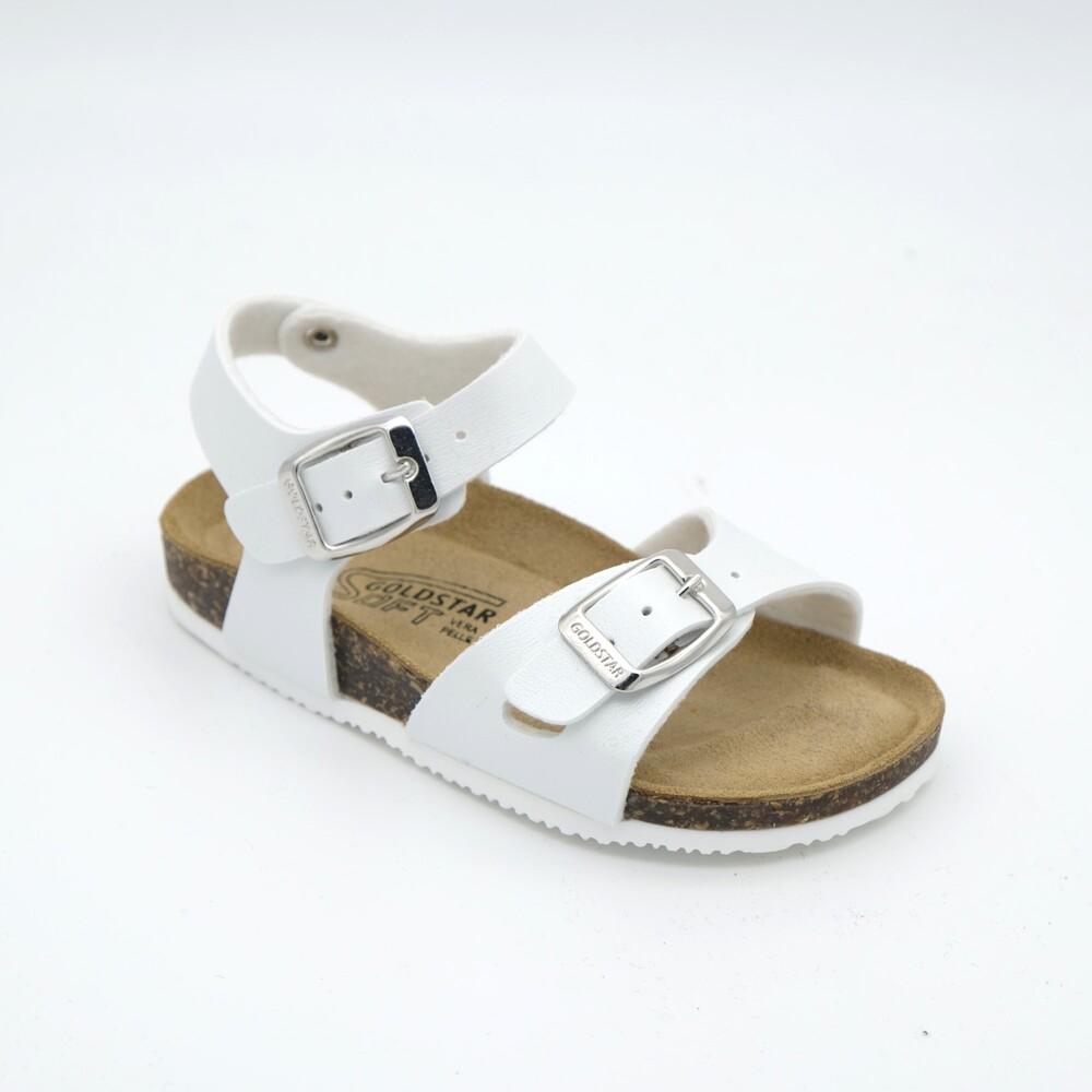 02169_8|d3b26dc5cb4c58c5f18b62cd18f7f5fa