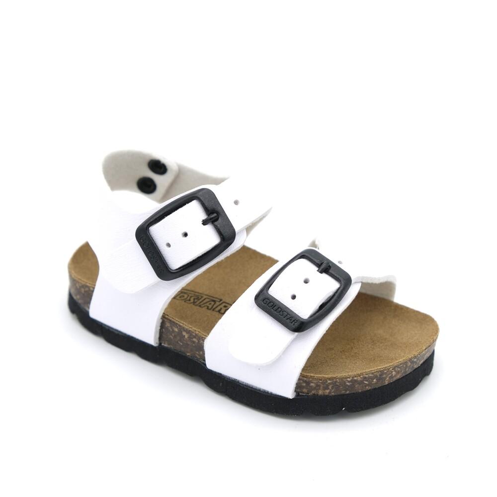 02176_8|6733befe19c65650d21c8694109672b6