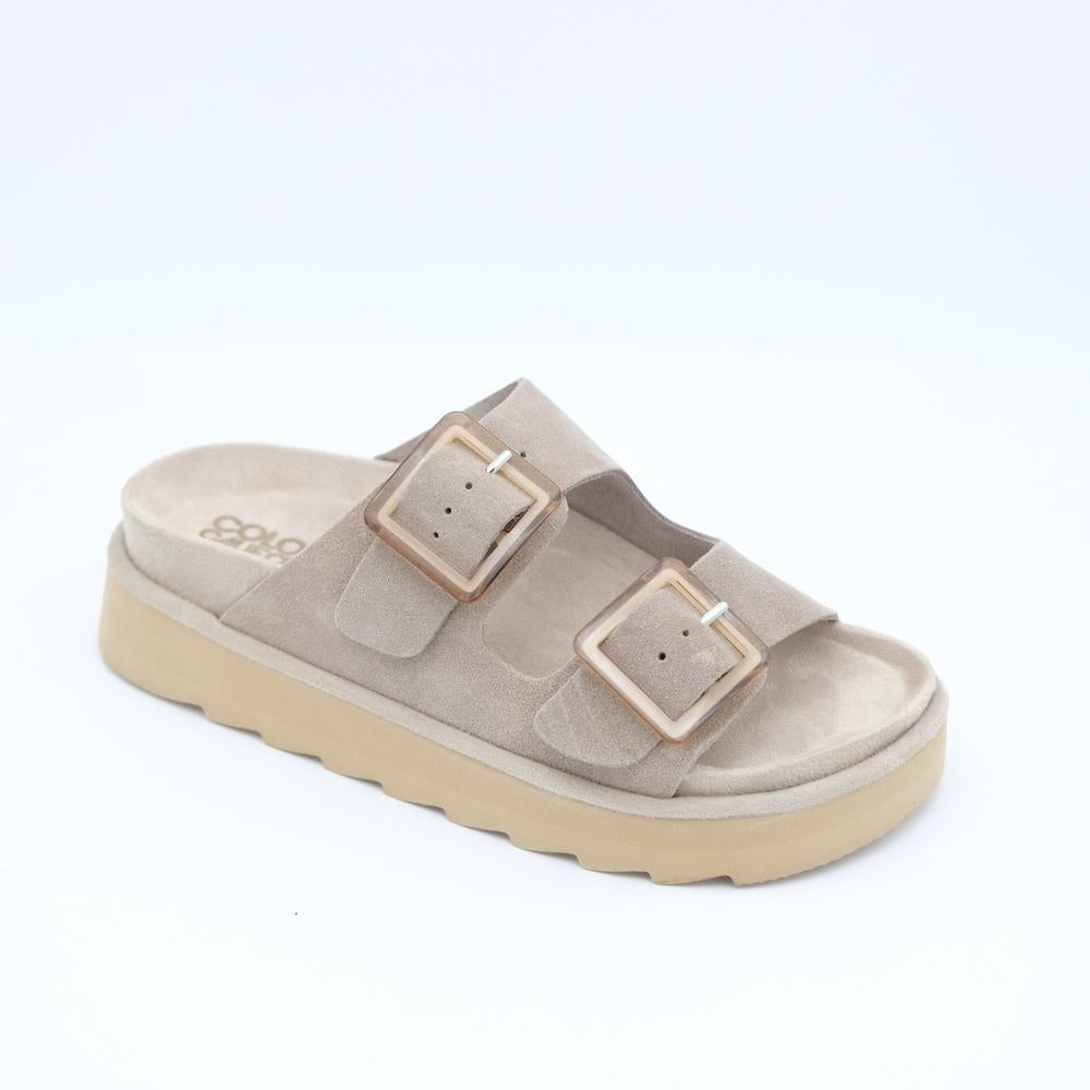 02177_146|34b600ead5707cf55e4b5b7f358fb704