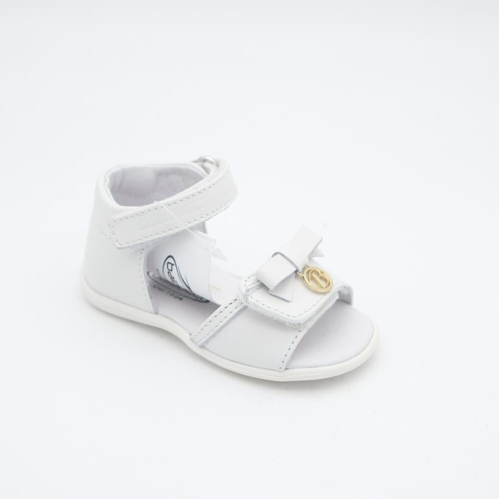 02183_8|2d95c567fcf10d0d68a1d0fdbf5f89c2