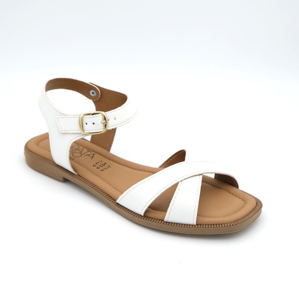 02209_8|0b12c0ad3353c1610497926c45db4d2b