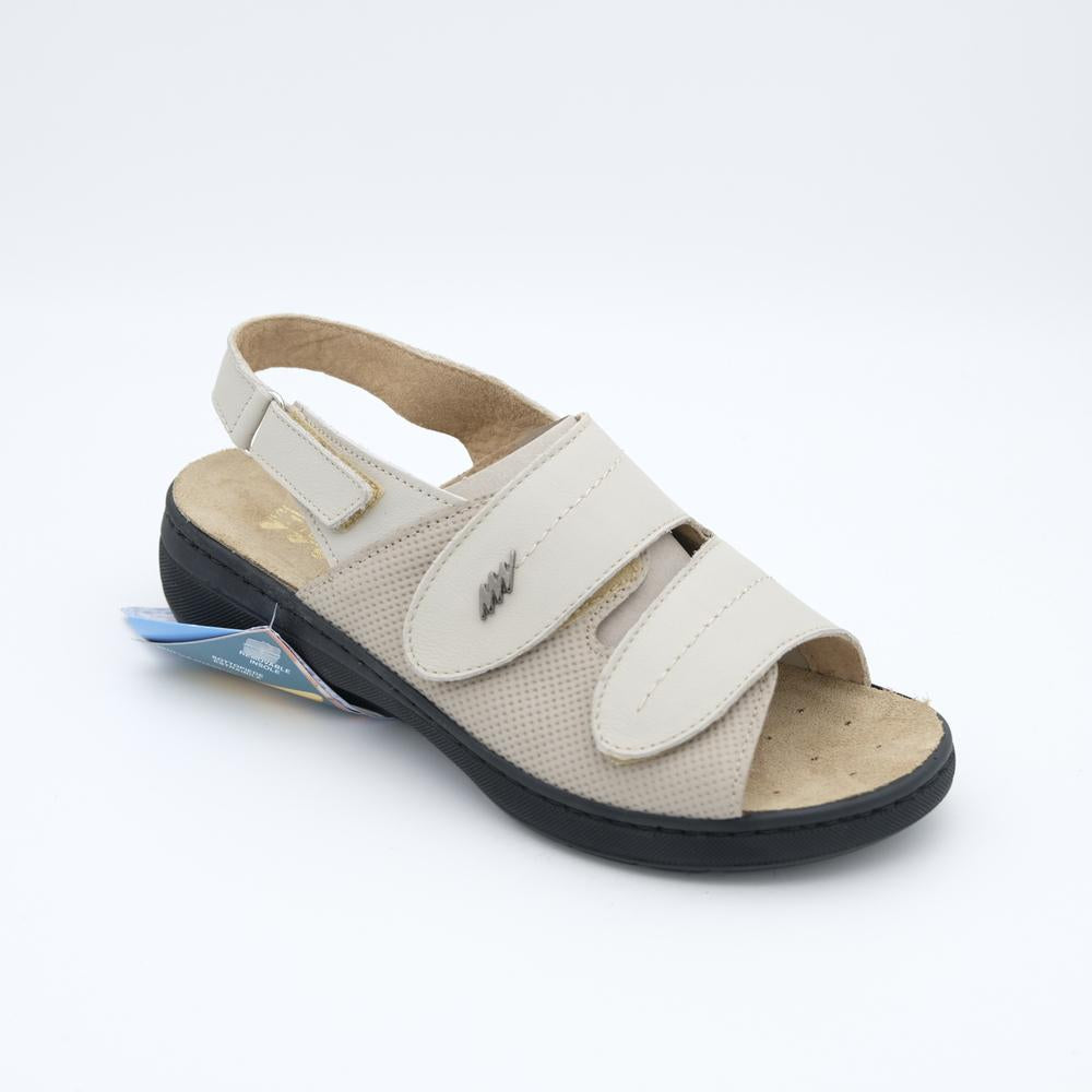 02222_19|6f2e9989fb23d73f3fc6af157a244c05