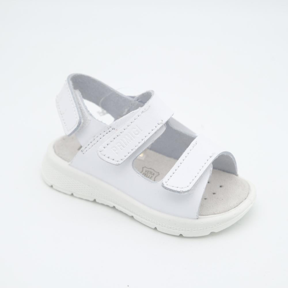 02235_8|1b1f2fe26b30731ed6e0a1350e1797cf