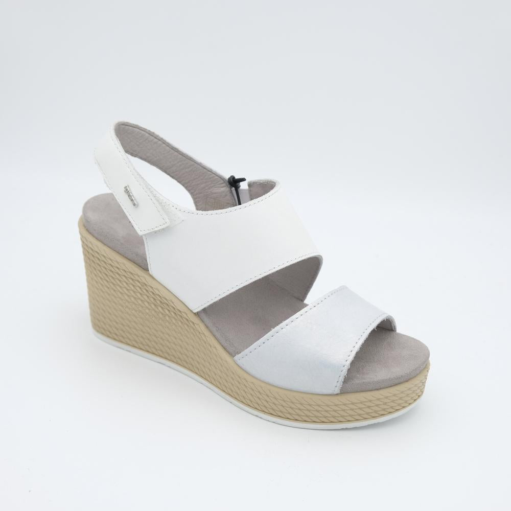 02236_66|598ff771a19a923f9bb0d39a30de58a3